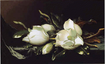 Martin Johnson Heade Magnolia